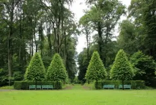 Tala y poda de árboles en altura, Lugo